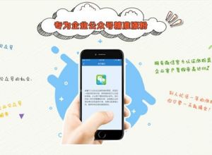 全网最专业最靠谱的涨粉平台——涨粉网