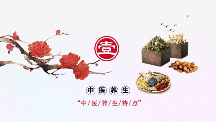 中医讲座主题ppt模板