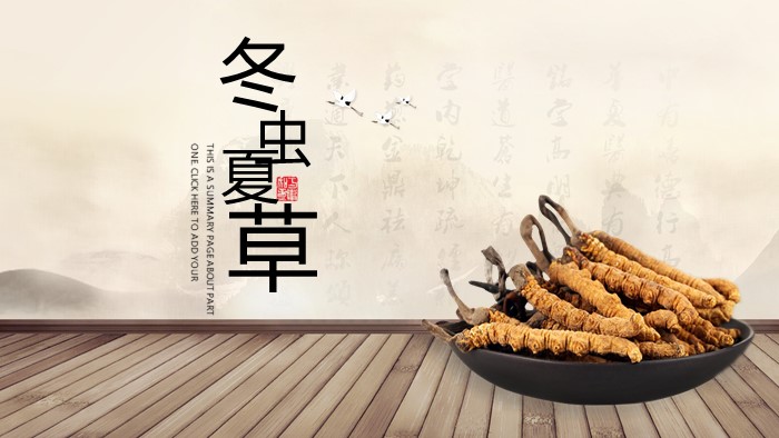 中医药文化建设ppt模板