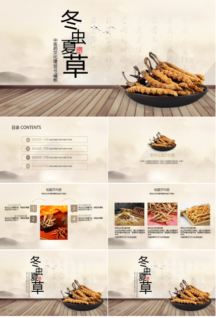 中医药文化建设ppt模板