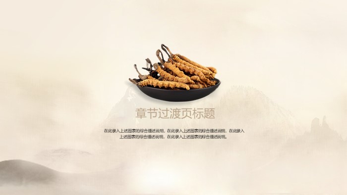 中医药文化建设ppt模板