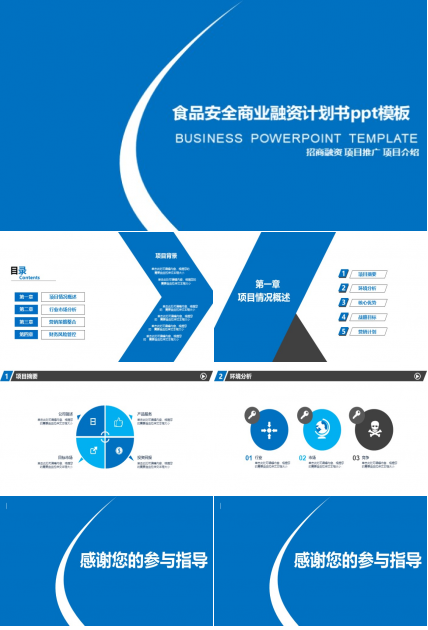 食品安全商业融资计划书ppt模板