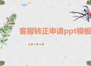 客服转正申请ppt模板