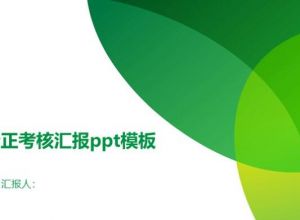 转正考核汇报ppt模板