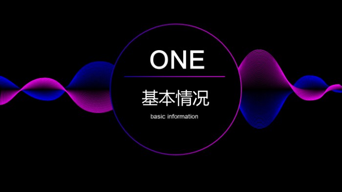 创新项目申报ppt模板
