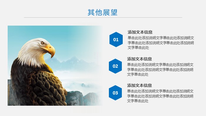 产品专业团队介绍ppt模板