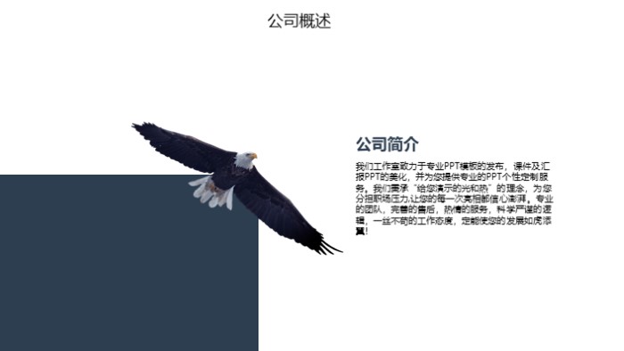 产品与服务的介绍ppt模板