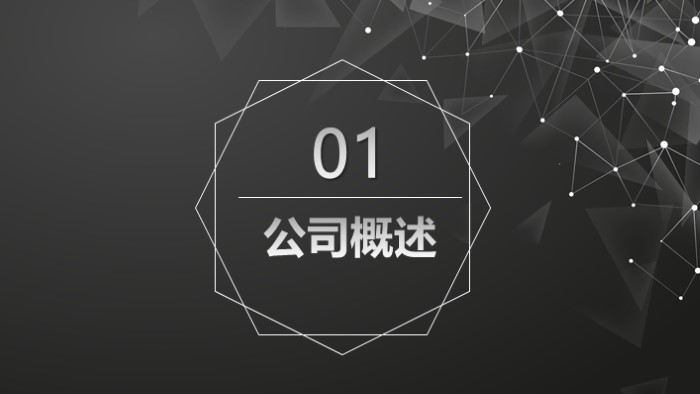 产品与服务的介绍ppt模板