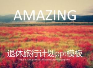 退休旅行计划ppt模板