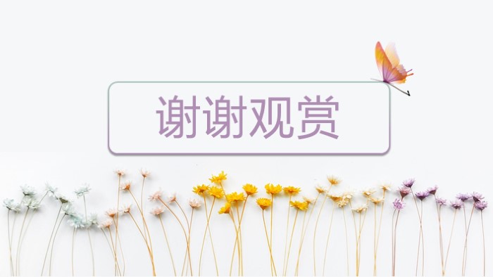 应聘高校教师简历ppt模板