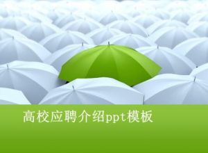 高校应聘介绍ppt模板