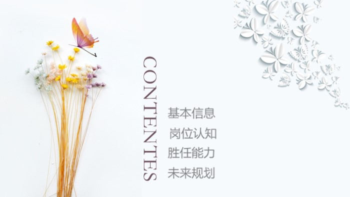 应聘高校教师简历ppt模板