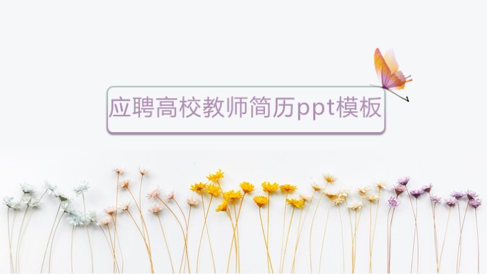 应聘高校教师简历ppt模板