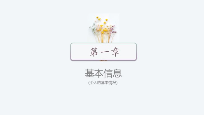 应聘高校教师简历ppt模板