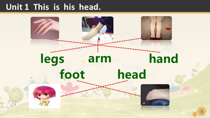 大学英语课件ppt模板