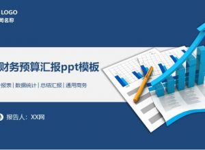 年度财务预算汇报ppt模板