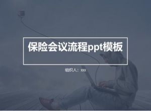 保险会议流程ppt模板