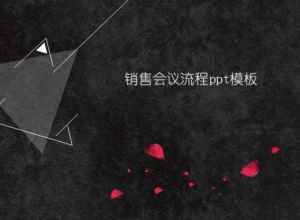 销售会议流程ppt模板