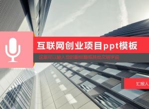 互联网创业项目ppt模板
