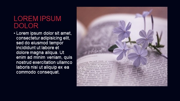 少儿英语演讲ppt模板