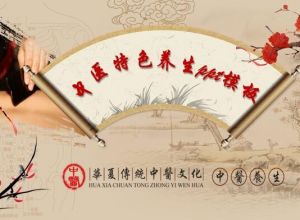 中医特色养生ppt模板