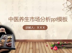 中医养生市场分析ppt模板