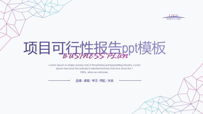 项目可行性报告ppt模板