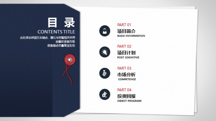 项目分析报告ppt模板