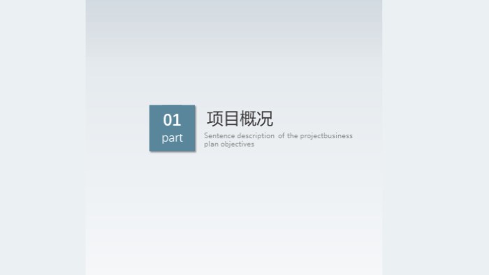 项目评估报告ppt模板