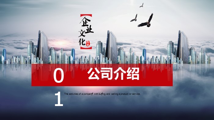 数据咨询公司介绍ppt模板