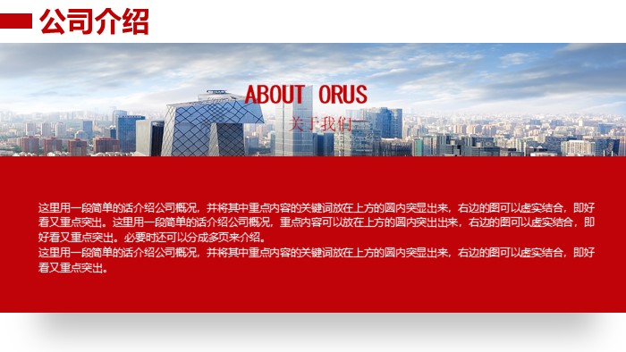 数据咨询公司介绍ppt模板