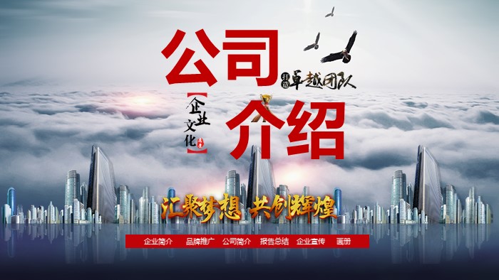 数据咨询公司介绍ppt模板