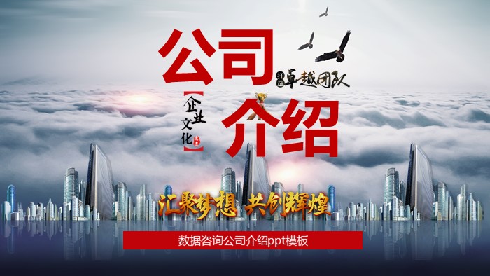 数据咨询公司介绍ppt模板