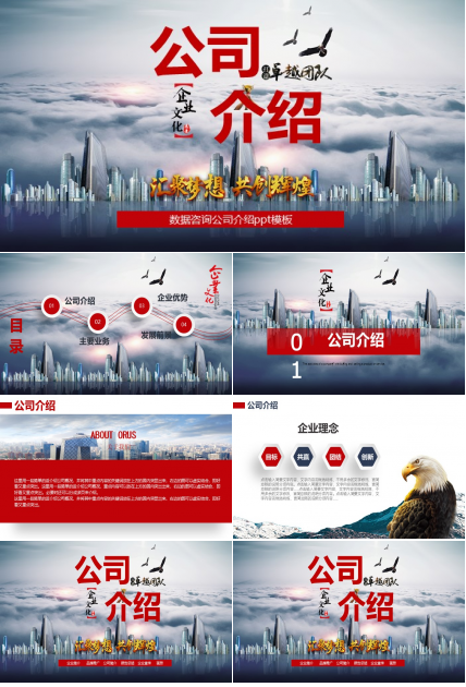 数据咨询公司介绍ppt模板