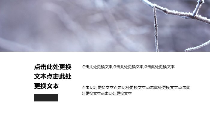 有关冬至ppt模板