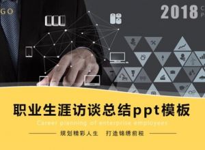 职业生涯访谈总结ppt模板