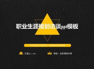 职业生涯规划访谈ppt模板