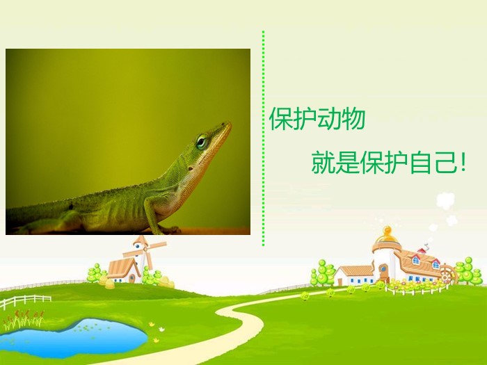 保护动物小学生ppt模板
