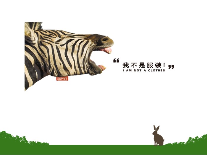 英语演讲保护动物ppt模板