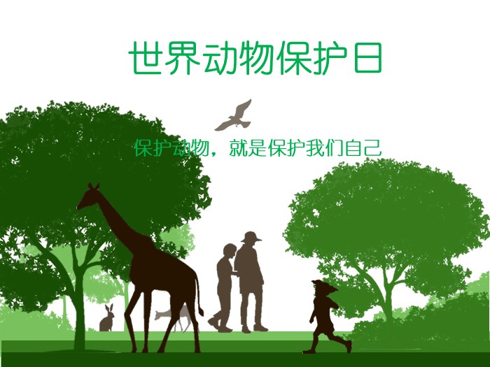 英语演讲保护动物ppt模板