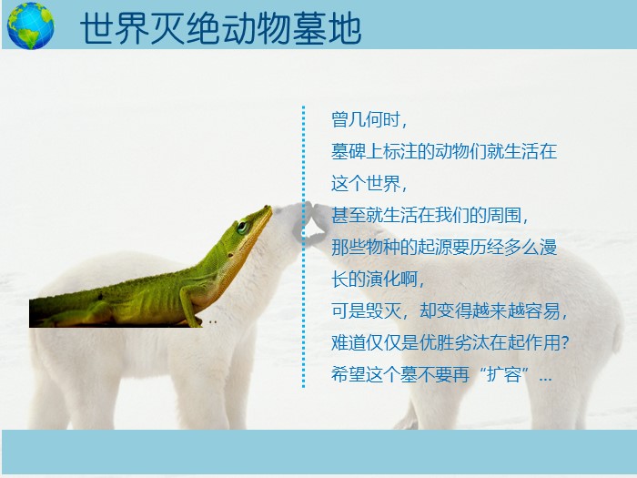 保护动物高中演讲ppt模板