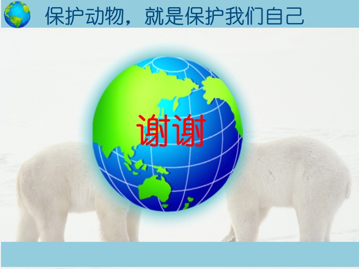 保护动物高中演讲ppt模板