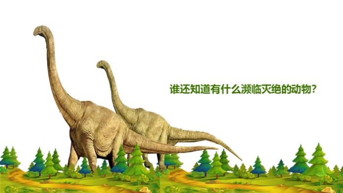 有关保护动物的ppt模板