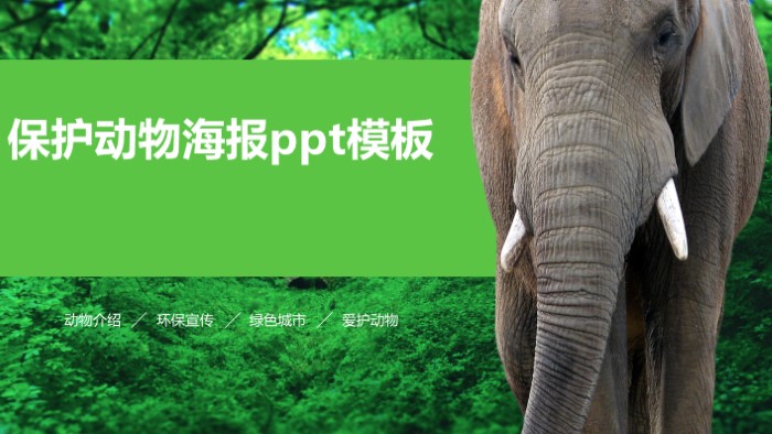 保护动物海报ppt模板