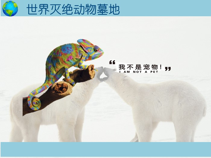 保护动物高中演讲ppt模板