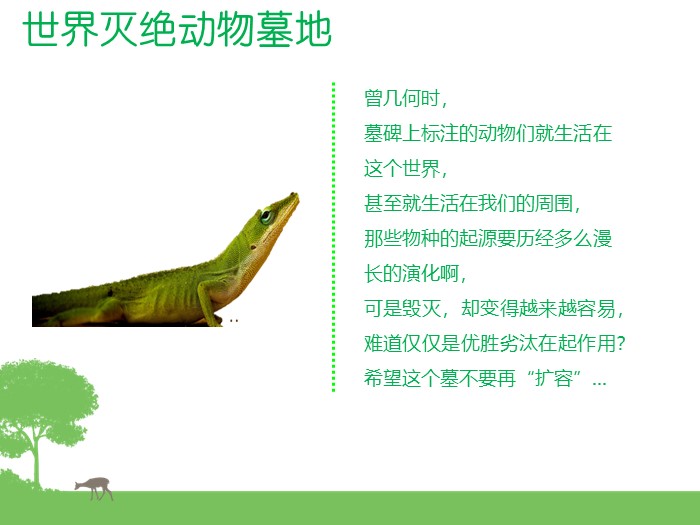 英语演讲保护动物ppt模板