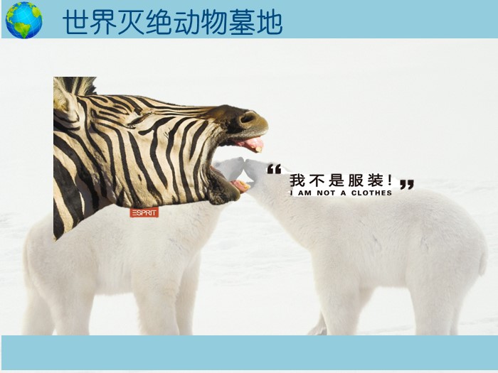 保护动物高中演讲ppt模板