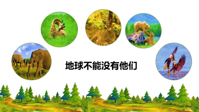 有关保护动物的ppt模板