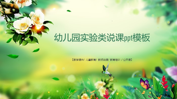 幼儿园实验类说课ppt模板