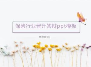 保险行业晋升答辩ppt模板